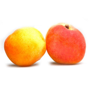 Apricot