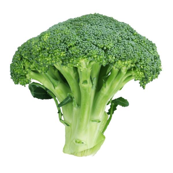 Broccoli