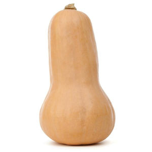 Butternut Squash