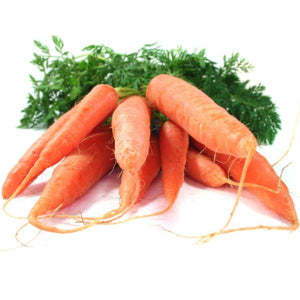 Carrot