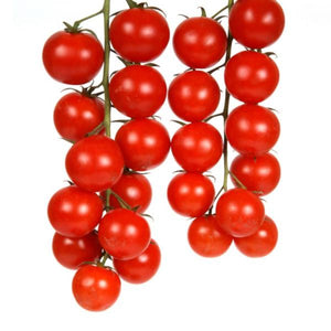 Cherry tomatoes