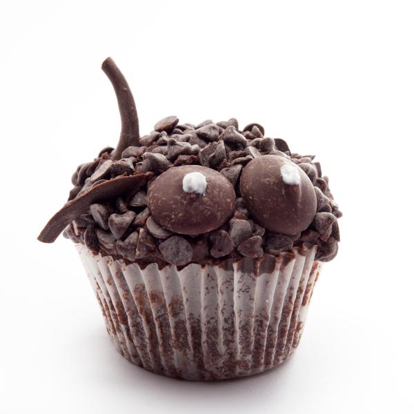 Chocolate muffin