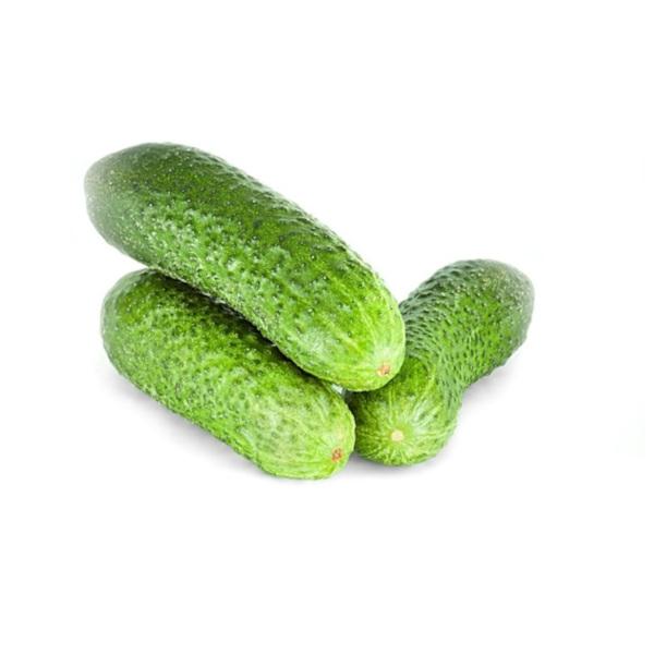 Cucumber