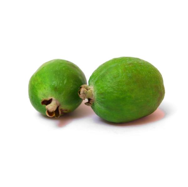 Guava