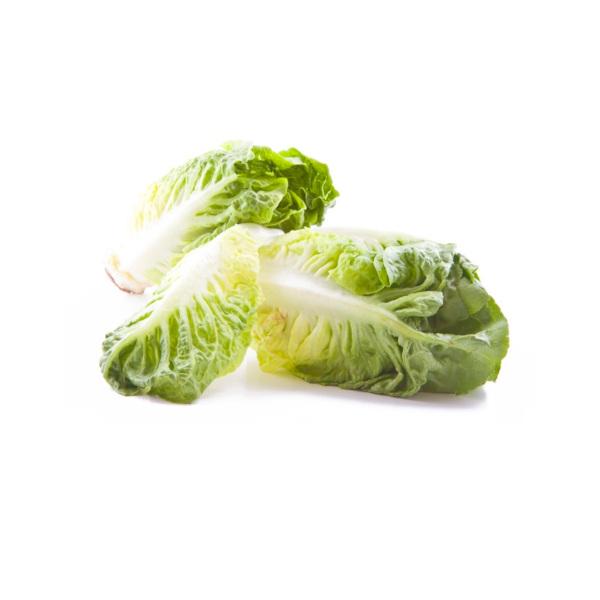 Lettuce