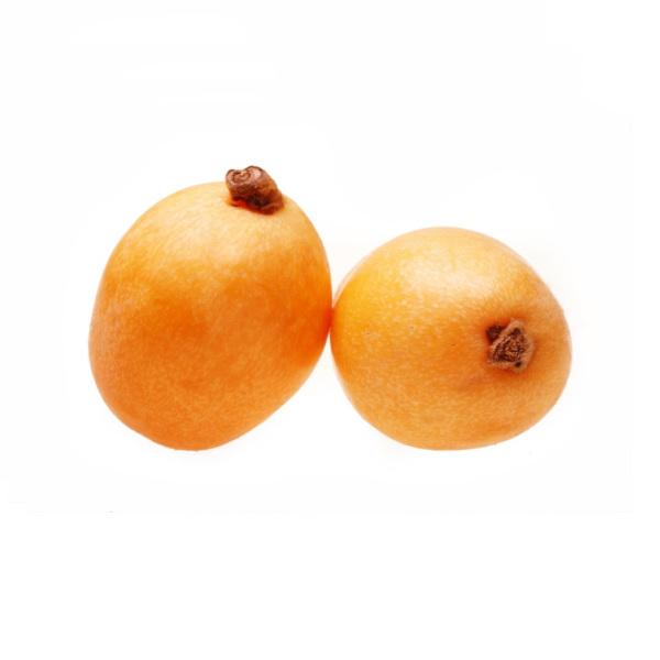 Loquat