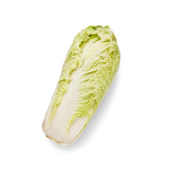 Organic Celery cabbage