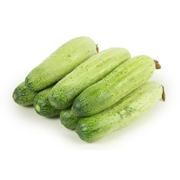 Organic cucumber