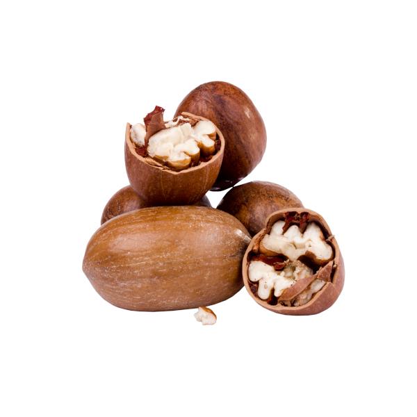 Organic pecan nut