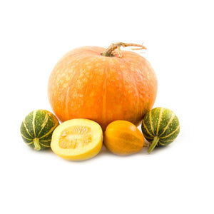 Organic Decorative Pumpkin