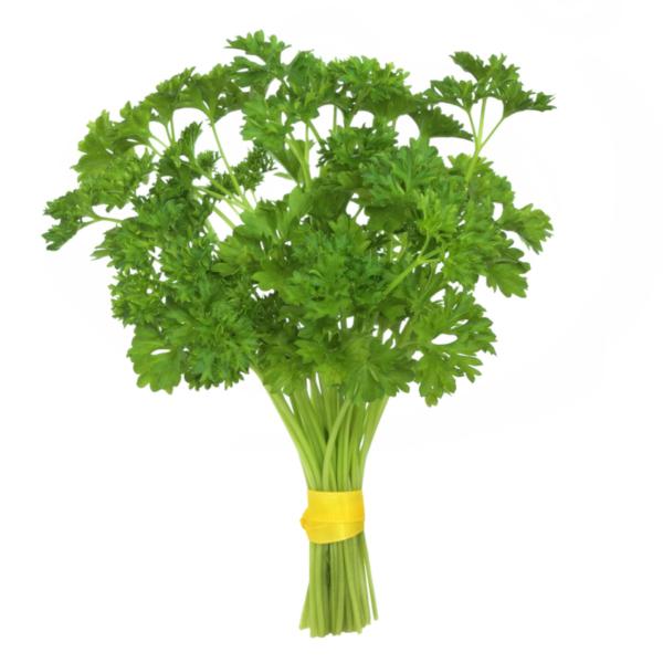 Parsley