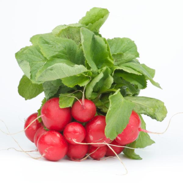 Radish