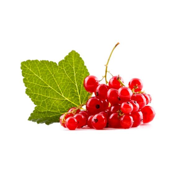 Redcurrant